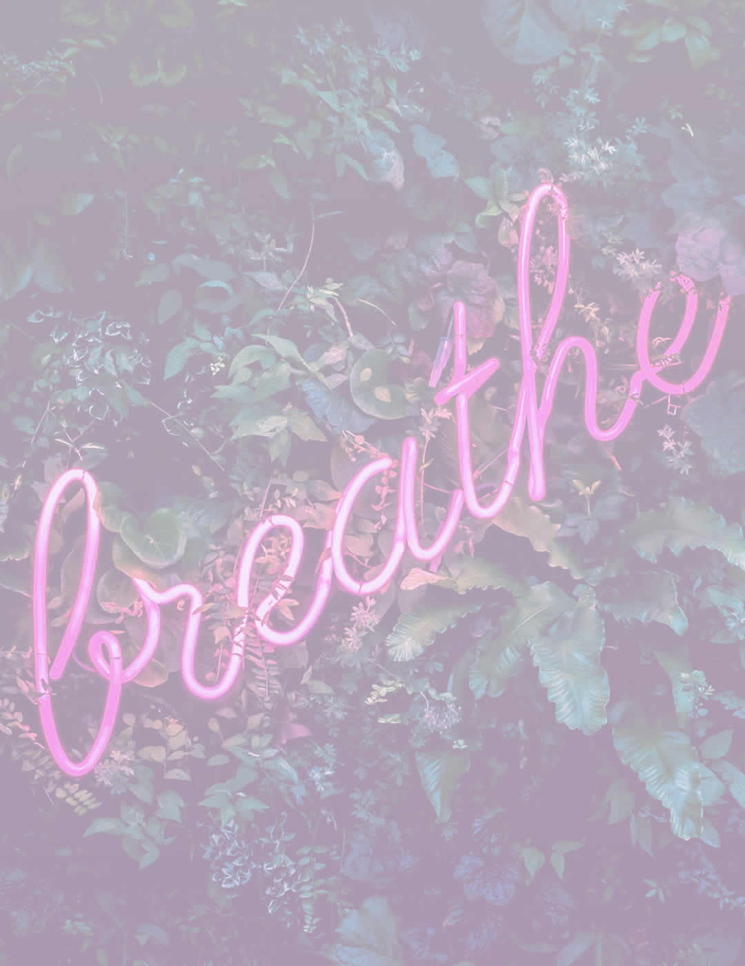meditation quote "breathe" as a shining lamp