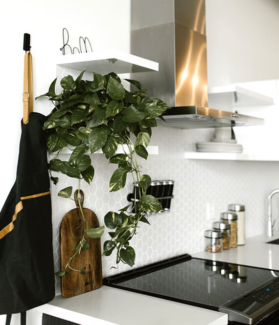 clean and organized kitchen example