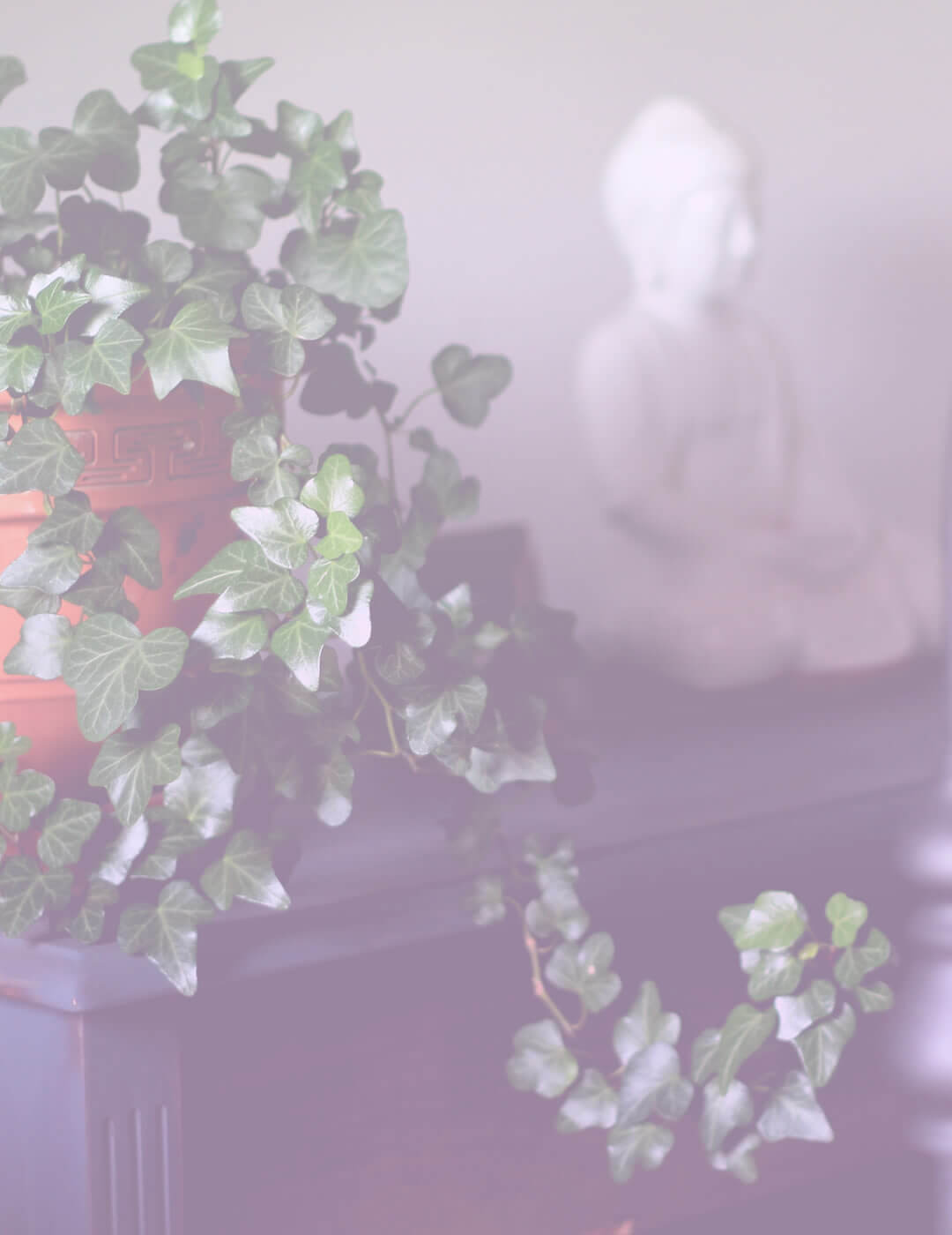 meditation room decorate with plants and Buddha statue