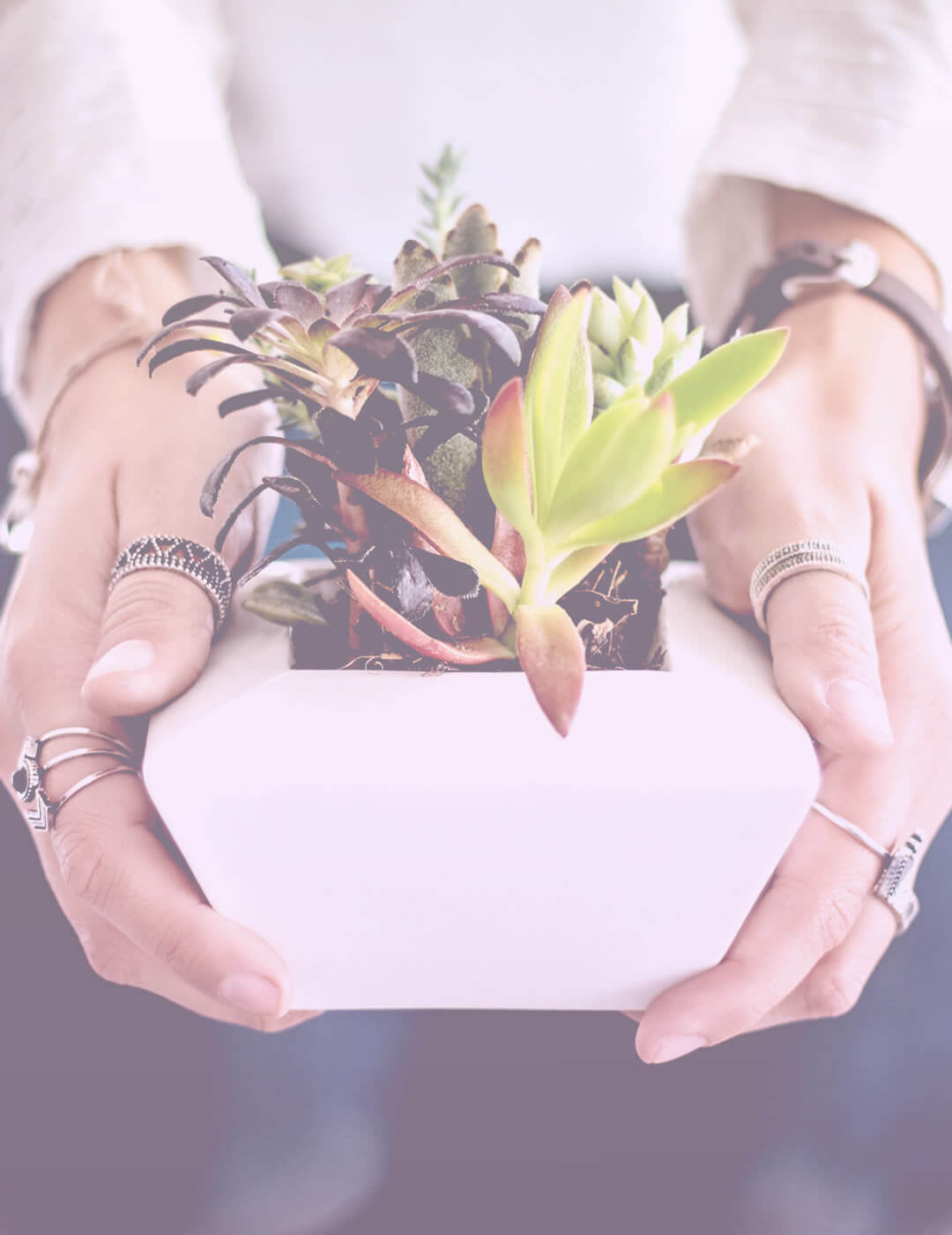 Caring for plants as one of the mindfulness activities