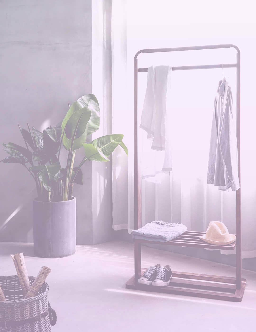 Green plant and a clothes rack for home organization