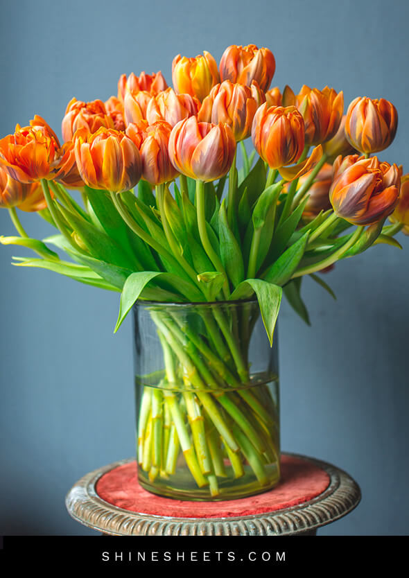 flower vase with tulips as a cleaning motivation booster