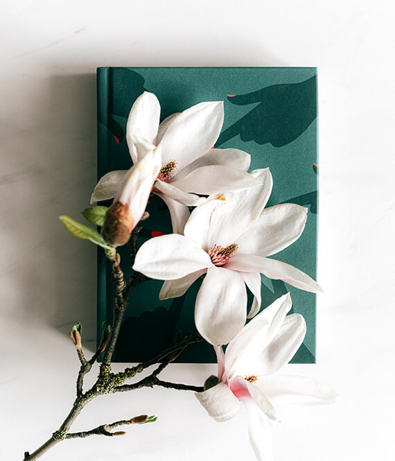 journal for therapy at home practice