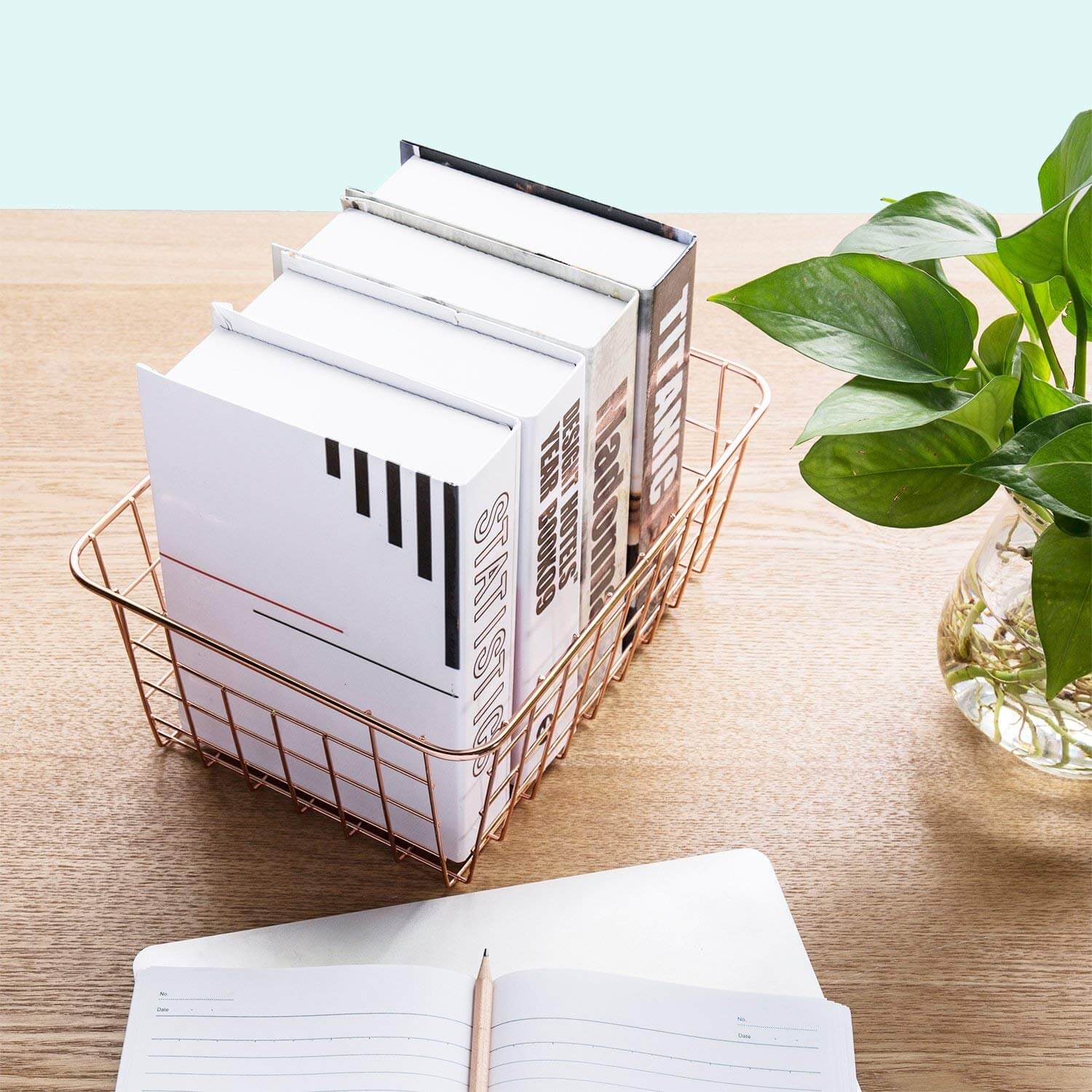 metal wire organizers as a product suggestion on how to keep your house clean