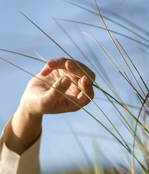 holding grass - art photography depicting how to let go of the past