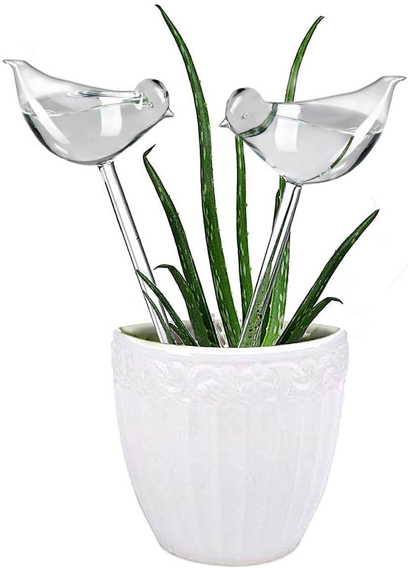 plant watering globes as a way to make life easier
