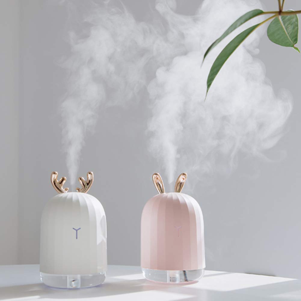 cute humidifiers as an idea for good skin