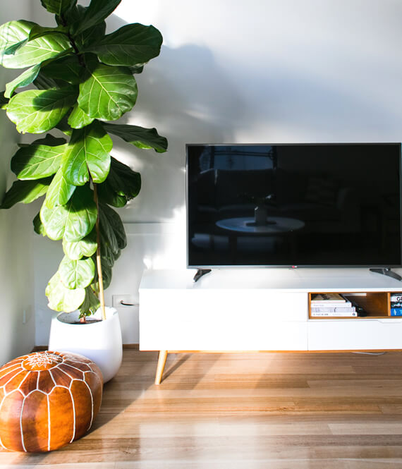 sparkling clean home