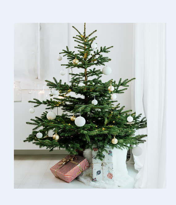 holiday spirit
