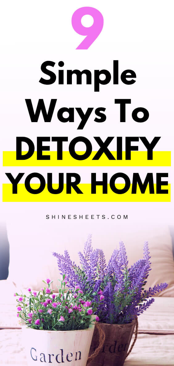 Detoxifying home plants in pretty pots