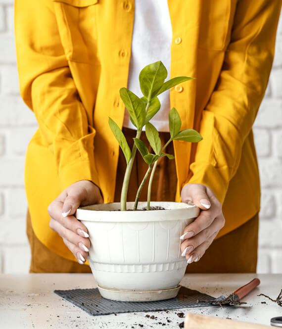 woman taking care of her potted plant at home by herself