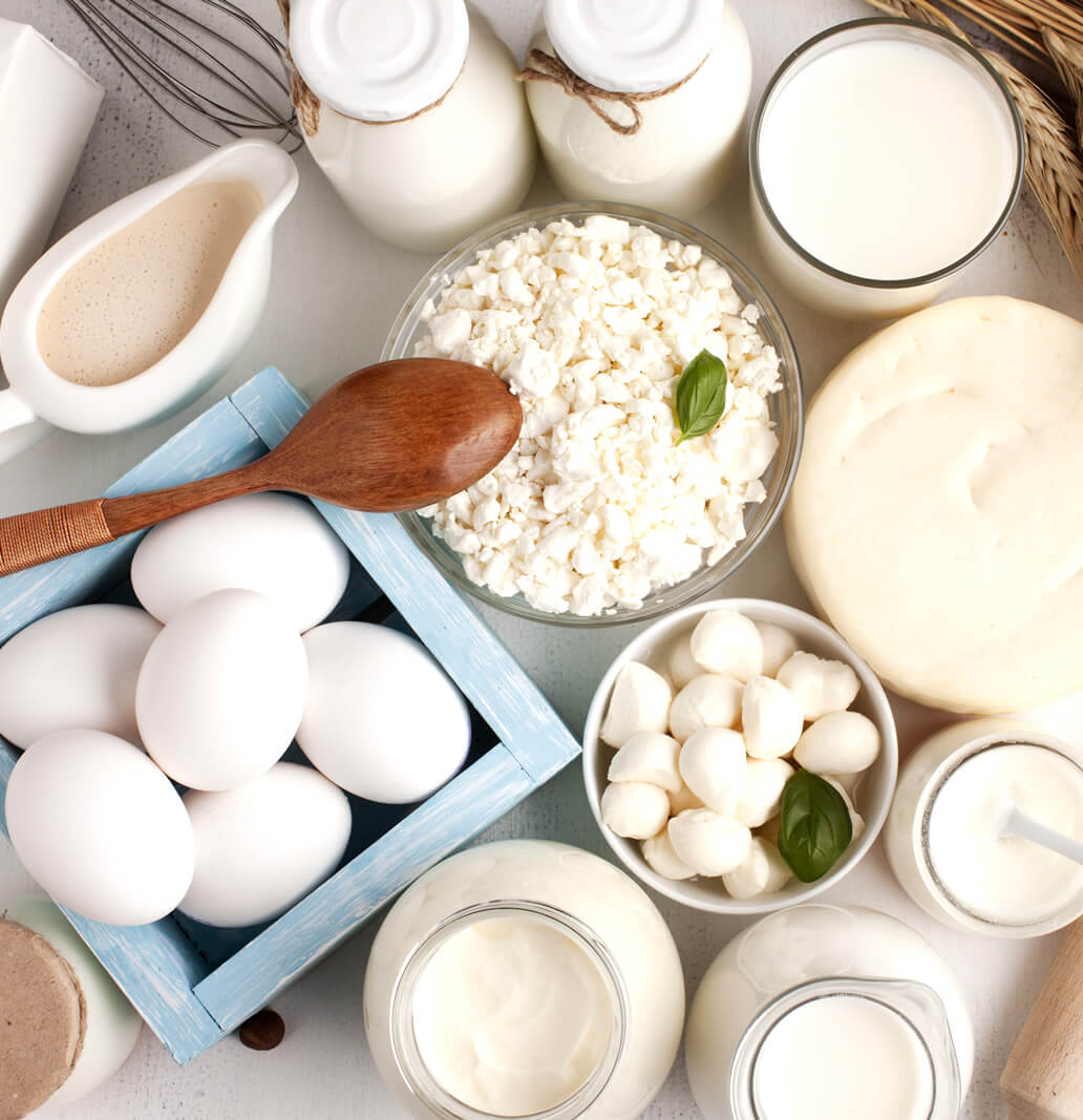 protein-rich foods on the table to lose weight without exercise
