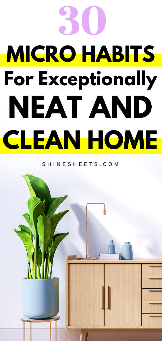 Very neat and clean home with green flower pots and blue vases