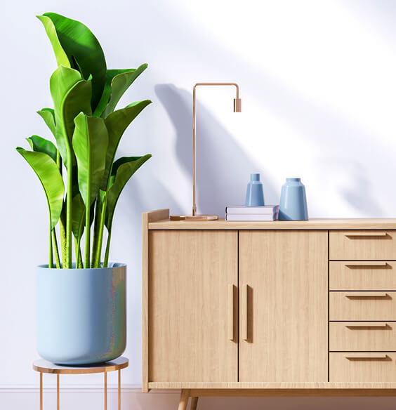 neat and clean room with green plant after doing micro habits