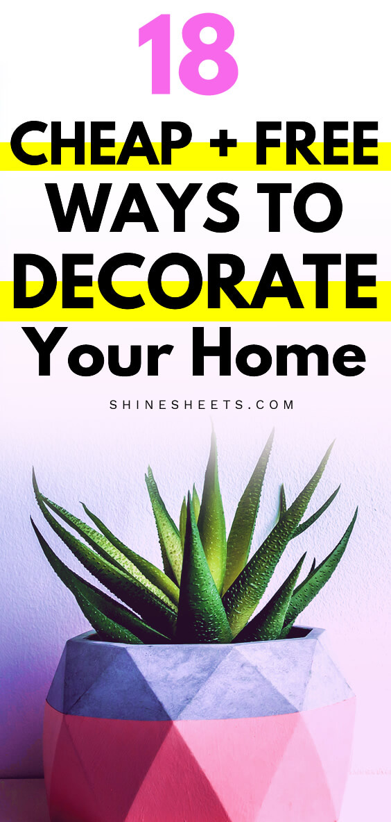 Aloe plant in pink pot as one of the cheap ways to decorate