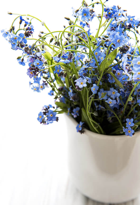 blue wildflowers in a cheap home decor pot