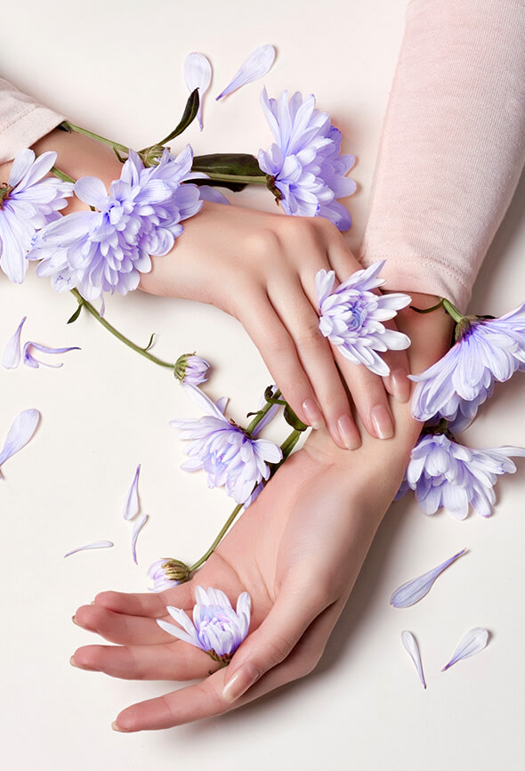 Woman hands touching colorful flowers as one of the self care strategies