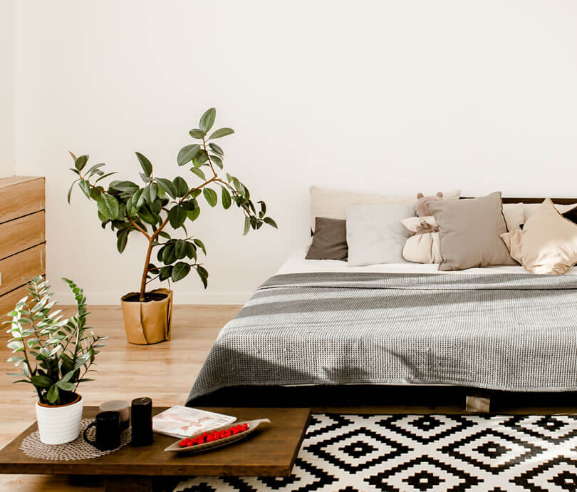 simple sofa and cheap home decor rug in a bedroom