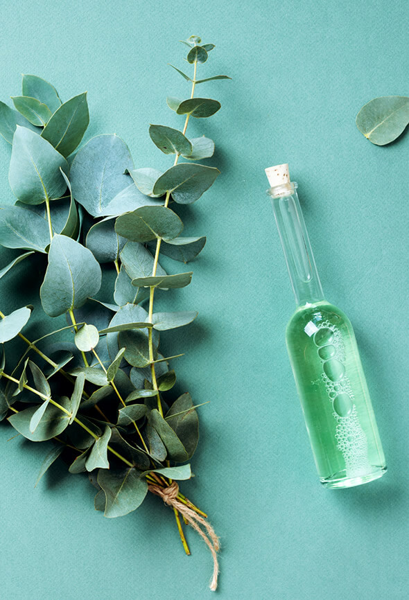 eucalyptus DIY air freshener