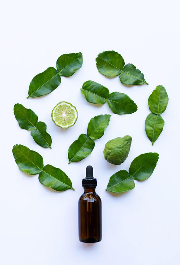 bergamot essential oil blends and leaves