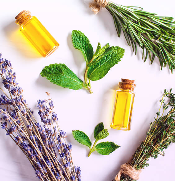 essential oil blends and plant on the table