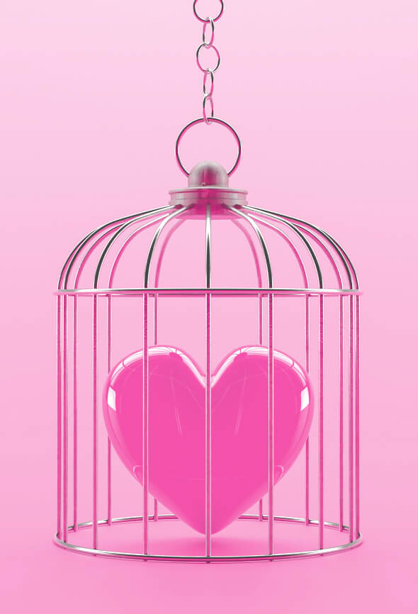 heart in a cage impossible love illustration