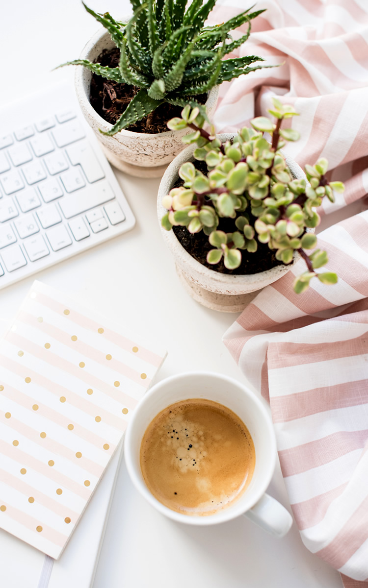 mental health goals journals