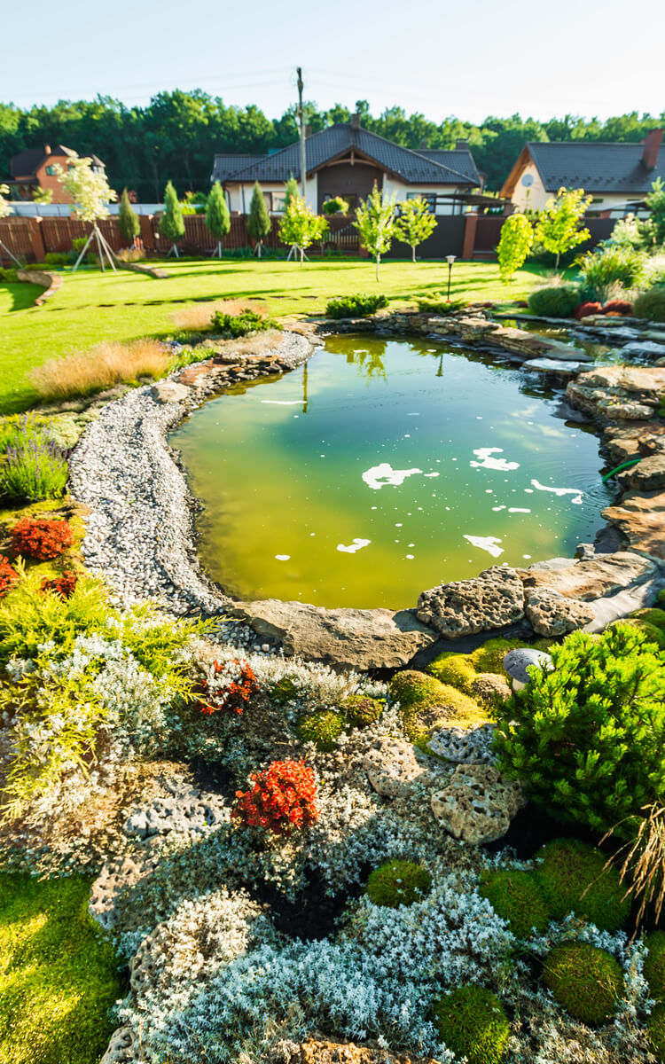 cosy garden with a pond