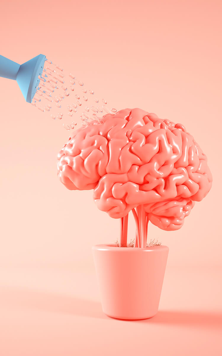 watering brain a concept of exploring different thinking styles