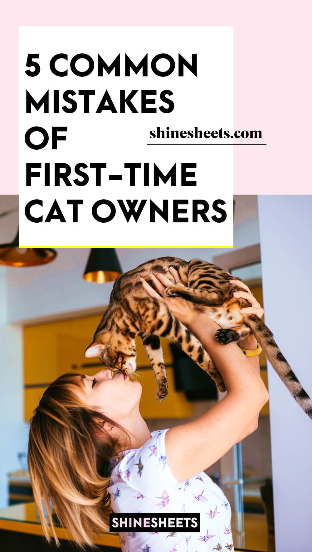 woman holding a pretty cat