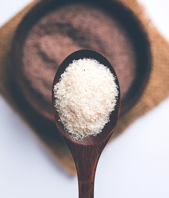 isabgol granulles on the spoon