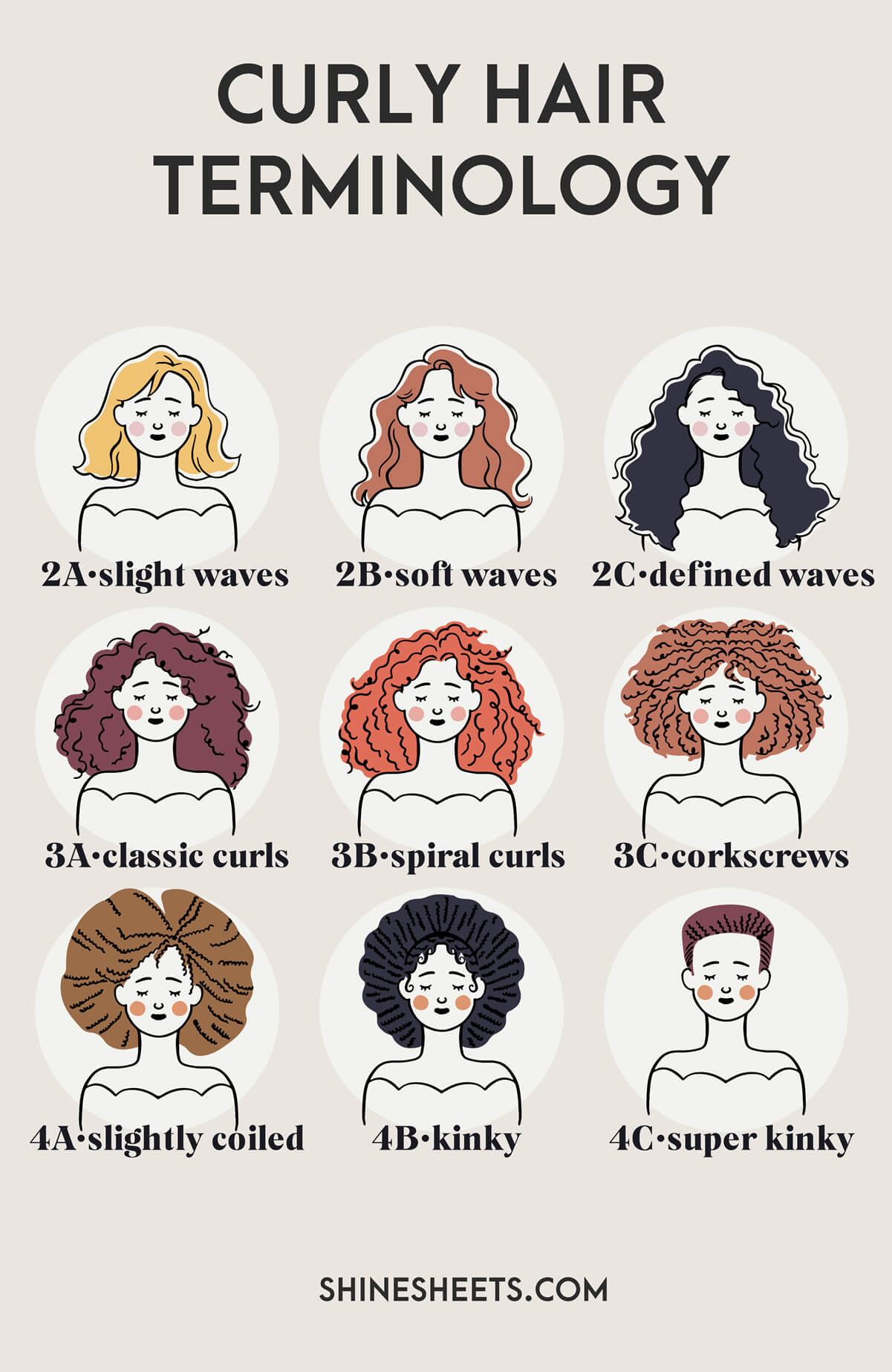 wavy and curly hair types terminology infographic