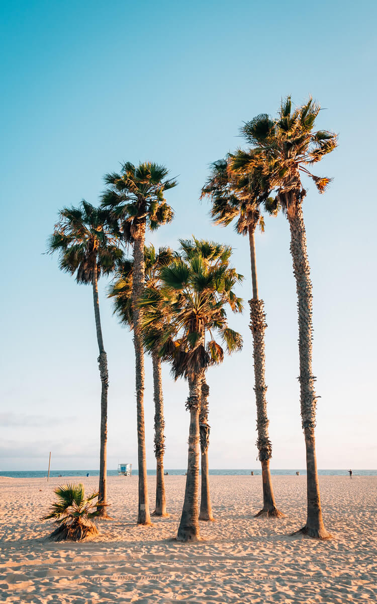 california beach