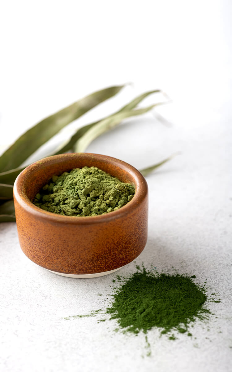 spirulina powder as one of the natural collagen sources