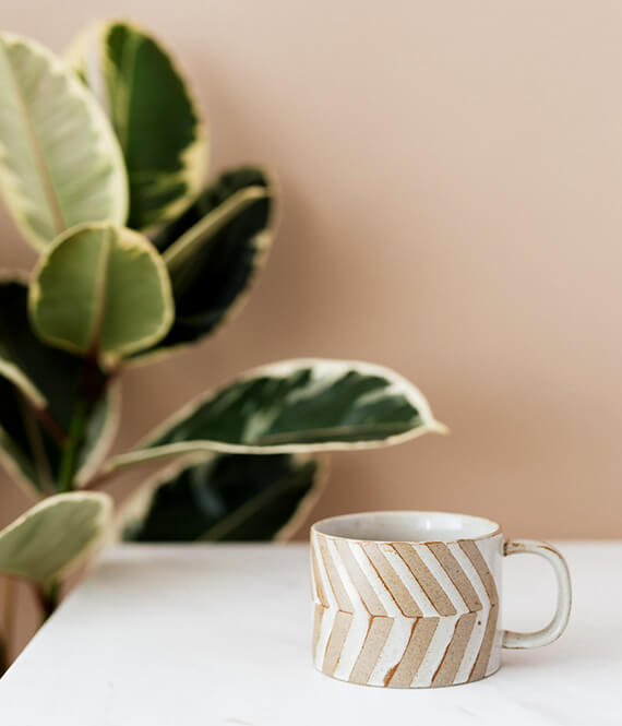minimalistic cup and a plant as a symbol of how to be happy with less