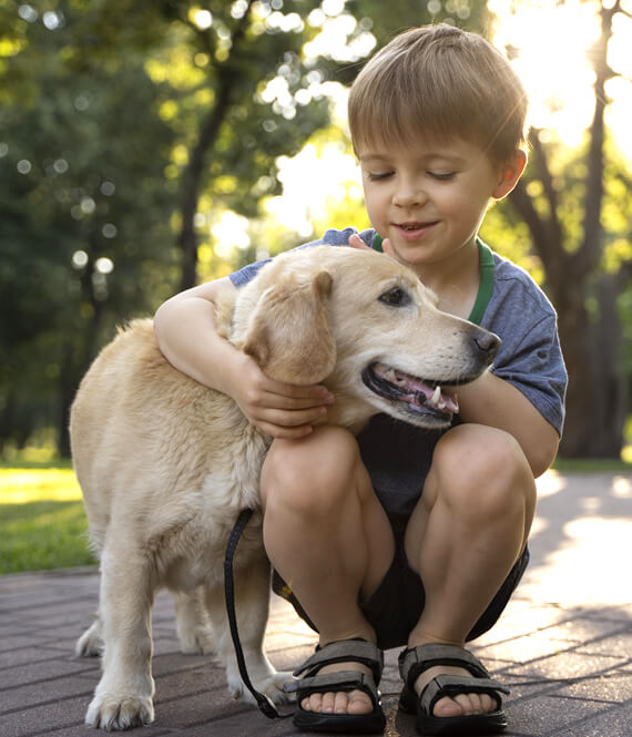 boy with adhd hugging emotional support animal (golden retriever)