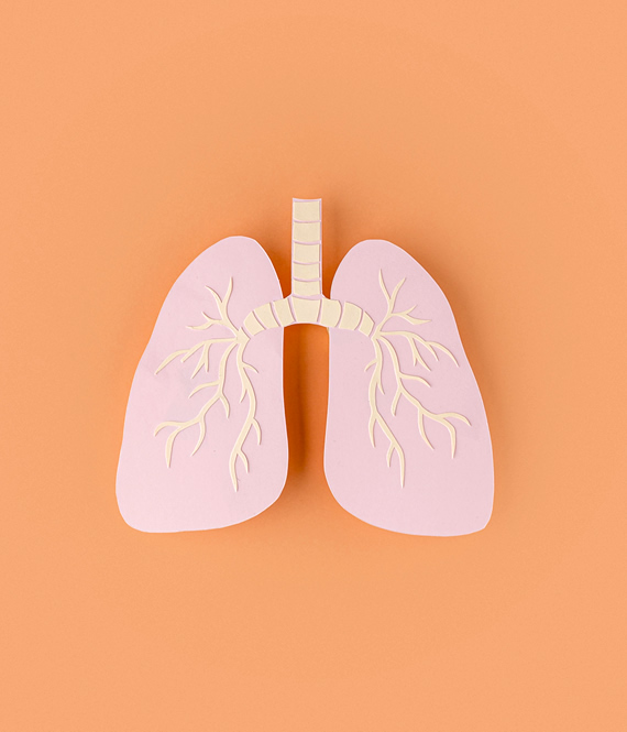 lungs concept photography