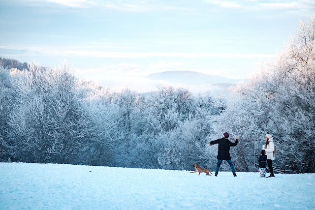 family throwing snowballs with their dog in the forest during winter