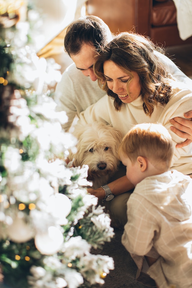 family sitting next to a christmas tree with their dog