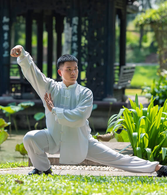 asian tai chi master performing qi gong vs tai chi movements in japanese garden