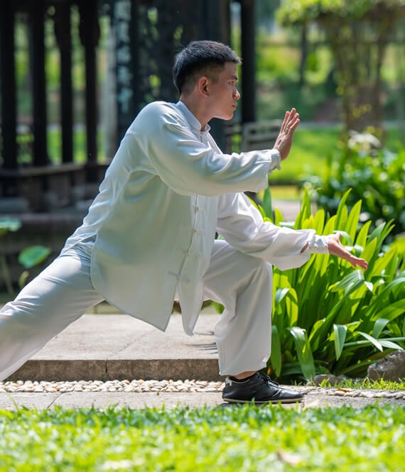 tai chi energy flow movements