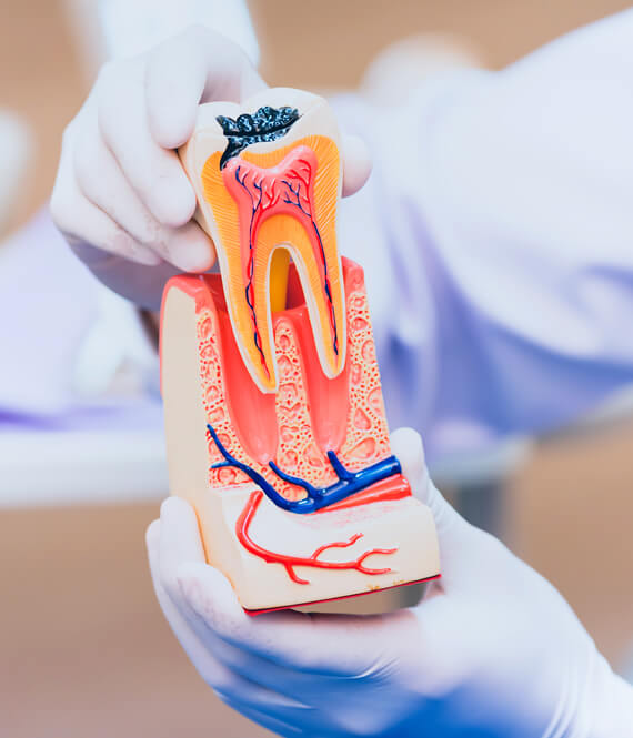 dentist explaining main dental health factors