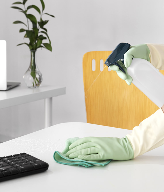 disinfecting surfaces at home after suspecting mice infestation