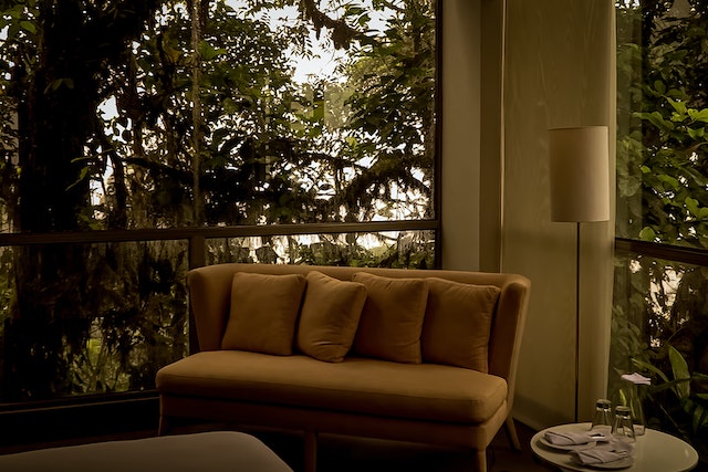 a brown sofa in a living room surrounded by natural elements, natural light, plants