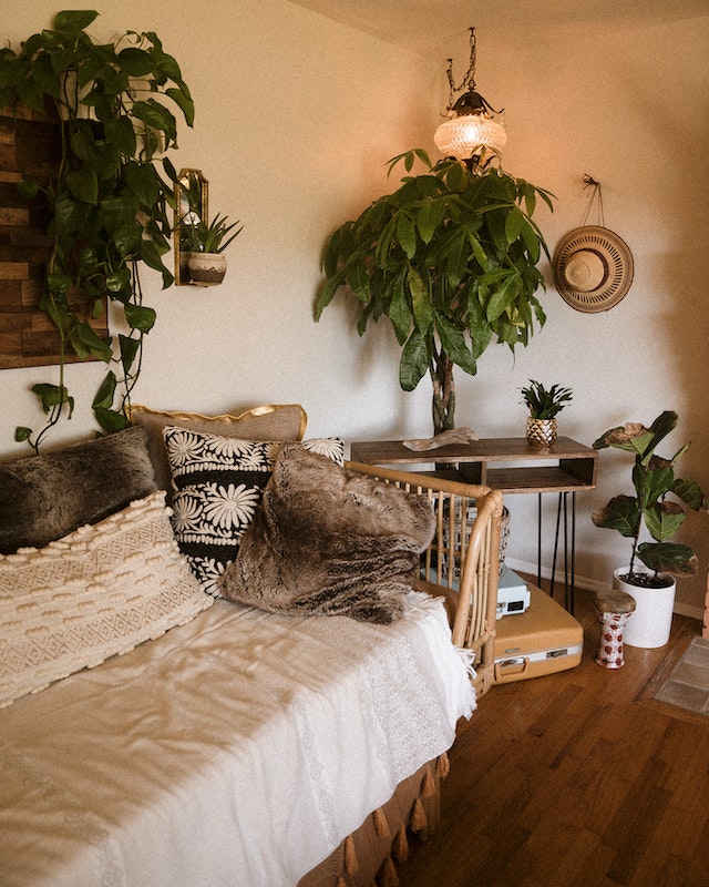 a boho living room with plants