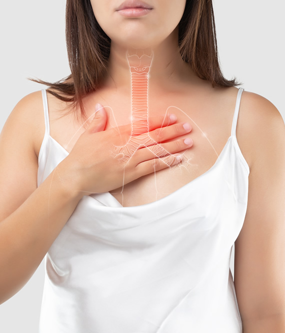 touching bronchial area