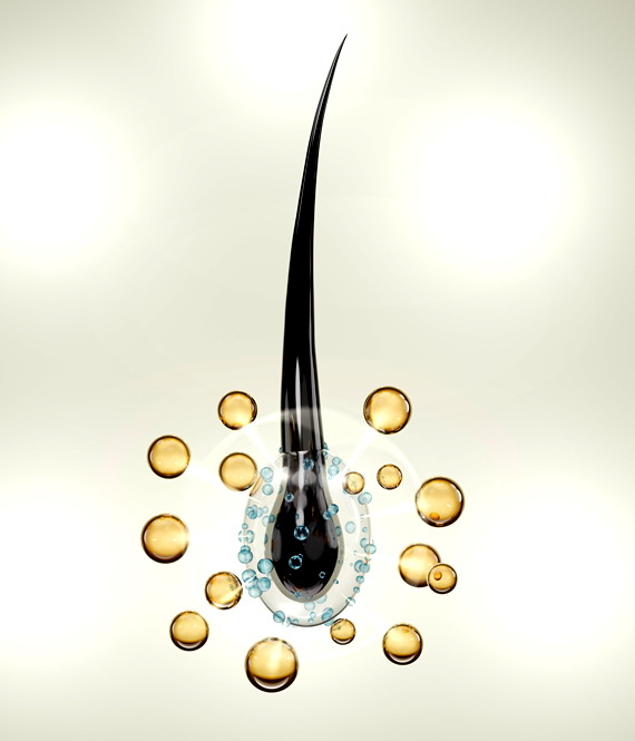 hair follicle nourishment visual depiction
