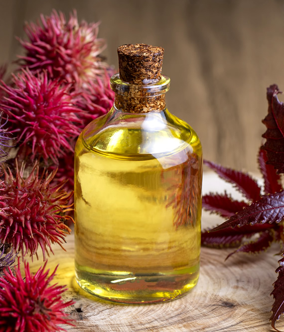 castor oil bottle, fruits and seeds