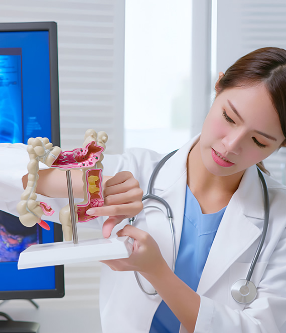 doctor explains a colon model