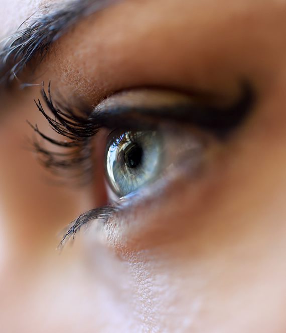 human eye